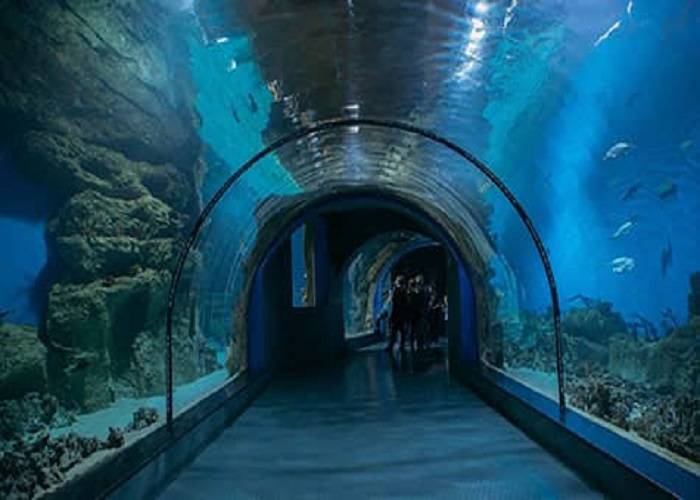 Moscow Oceanarium