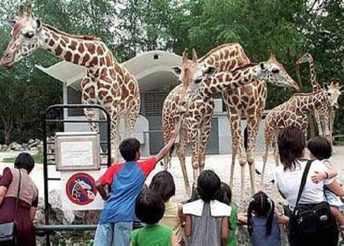 visit a zoo