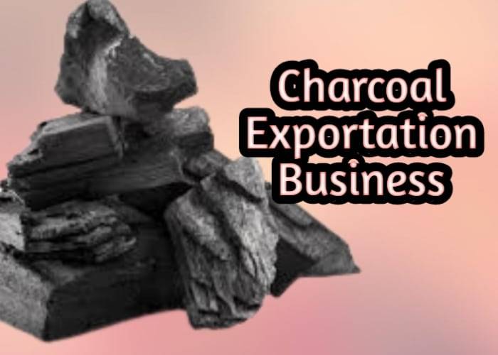 How To Start Charcoal Export Business In Nigeria 2023