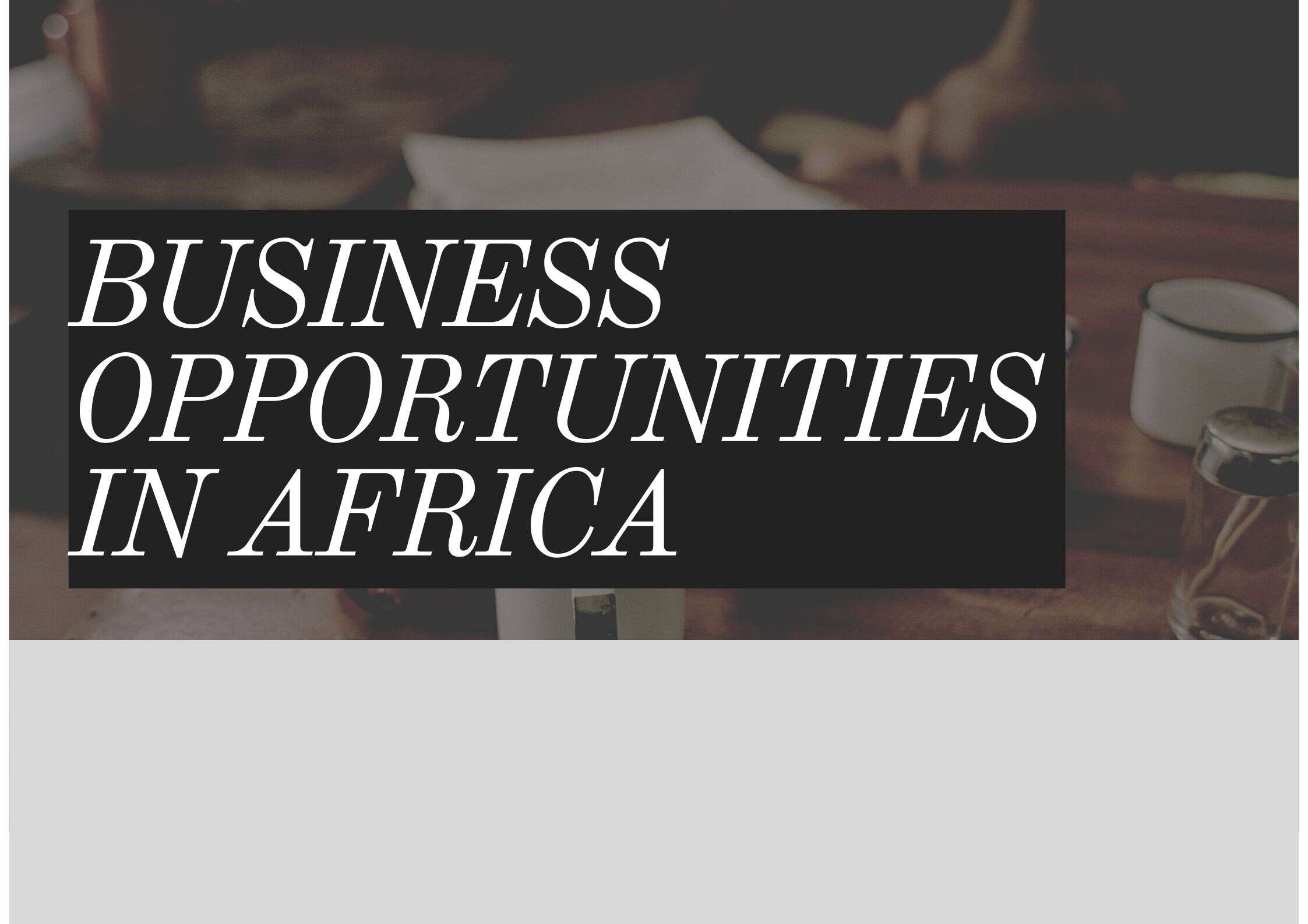 Business Opportunities in Africa