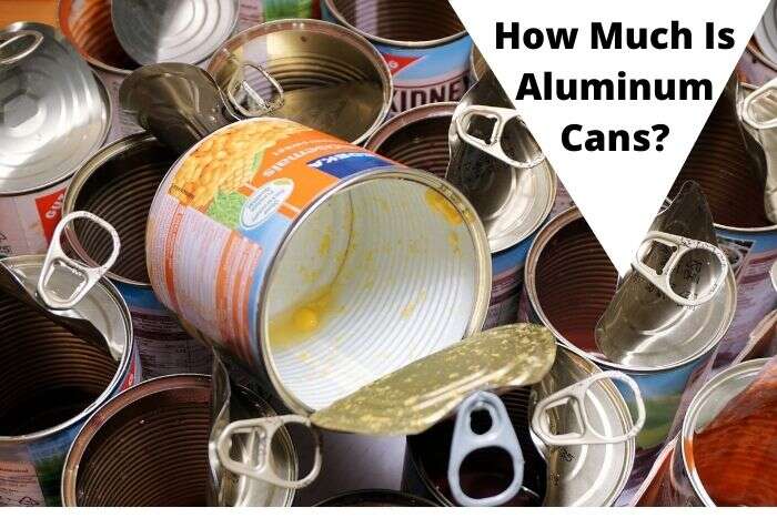 Worth of Aluminum Cans in 2023