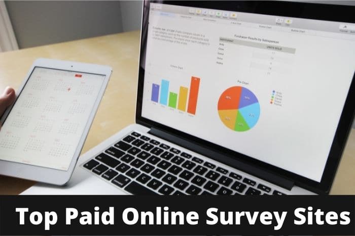 Top Paid Online Survey Sites