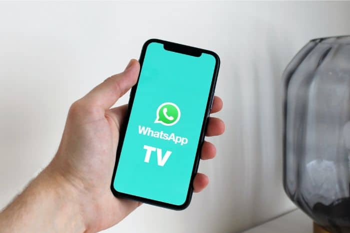 How To Create A WhatsApp TV And Make Money