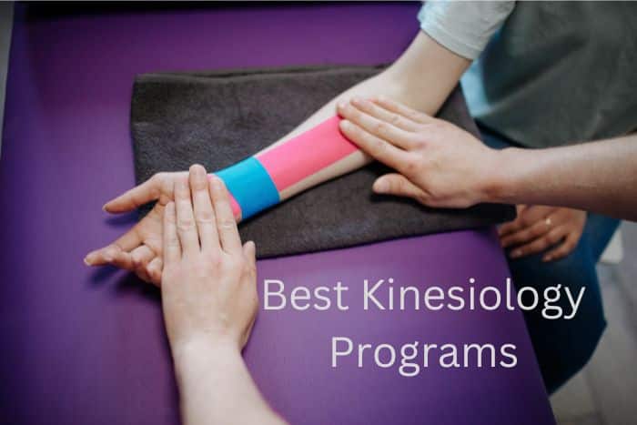 Best Kinesiology Programs In 2023
