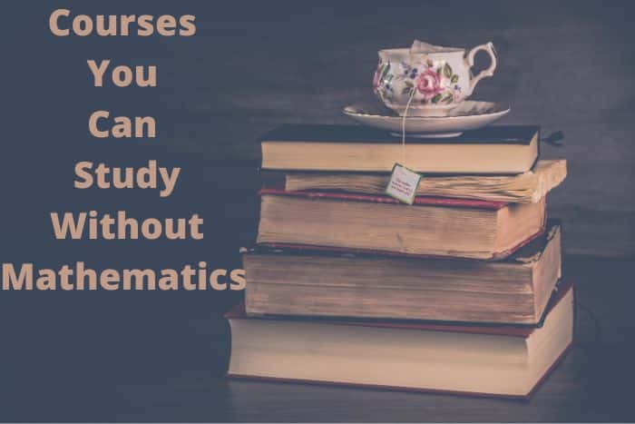 Courses You Can Study Without Mathematics In Nigeria