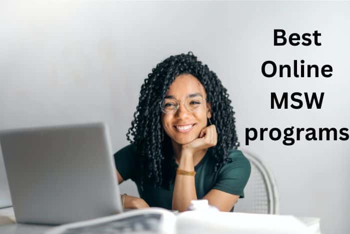 15 Best Online MSW Programs For Students 2023