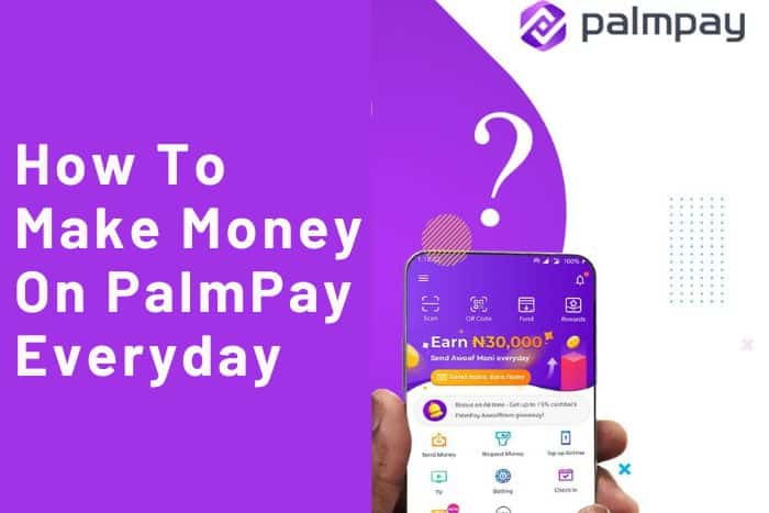 How To Make Money On PalmPay Everyday
