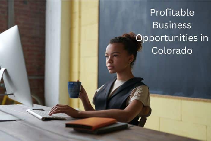 Top 30 Profitable Business Opportunities in Colorado
