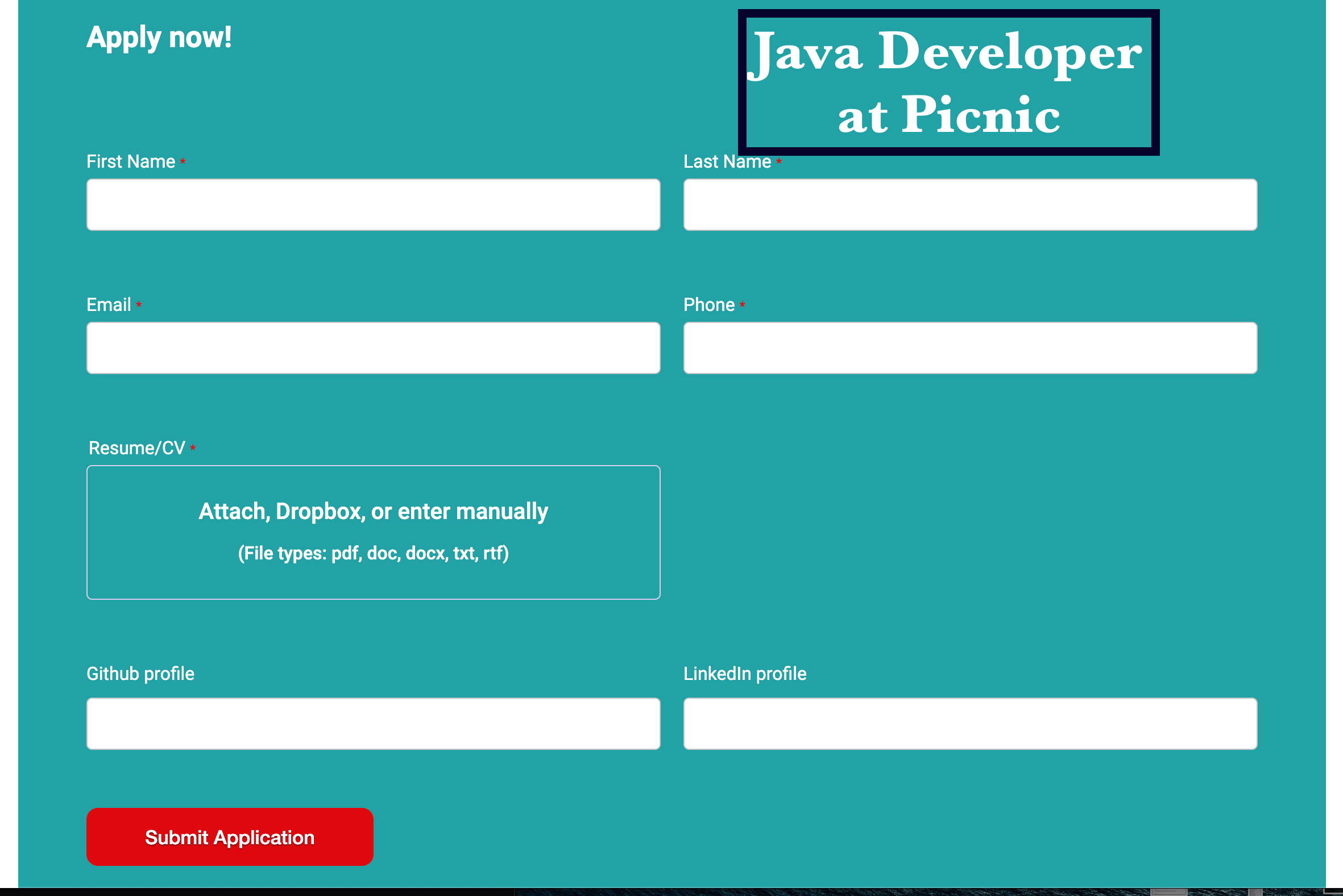 java developer at Picnic